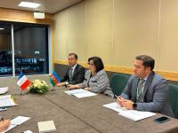 Azerbaijani MP meets with French National Assembly President (PHOTO)