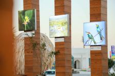 “Doha Ekspo 2023”də Azərbaycan pavilyonu işə başladı (FOTO)