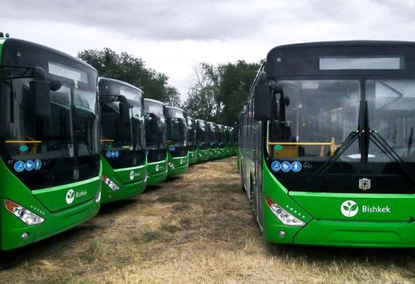 В столице Кыргызстана автобусы будут фиксировать нарушения ПДД на дорогах
