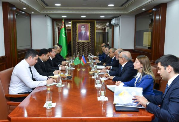 Azerbaijan, Turkmenistan review potential areas of cooperation in energy industry (PHOTO)