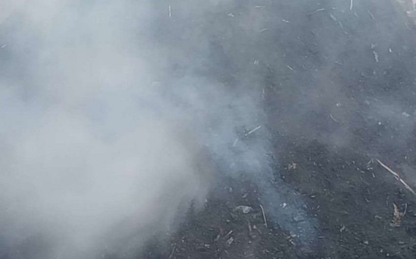 İsmayıllıda qanunsuz kömür quyuları ləğv olunub (FOTO)