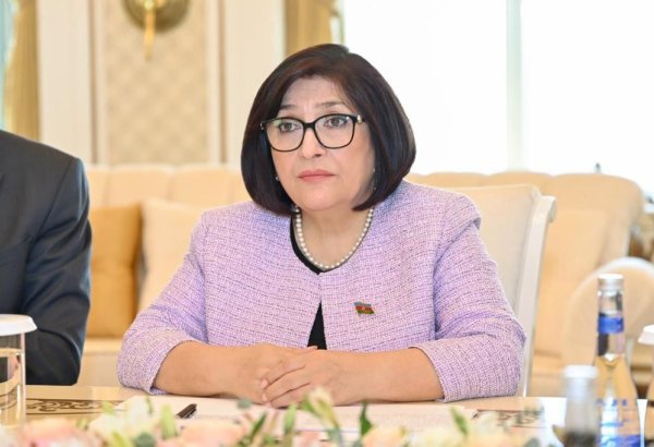 Спикер парламента Азербайджана находится с визитом в Турции