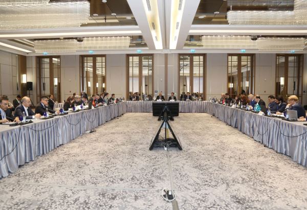 Под председательством Азербайджана состоялась встреча высших должностных лиц стран ОЭС (ФОТО)