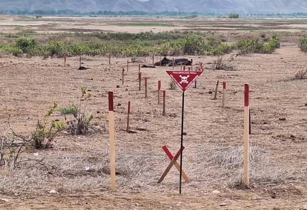 Обнародовано количество мин, обнаруженных на освобожденных территориях Азербайджана за неделю