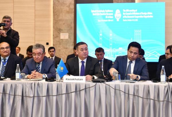 ОЭС должна играть более важную стратегическую роль в вопросах развития региона - глава МИД Казахстана