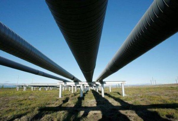 Ирландия значительно увеличила закупку азербайджанской нефти