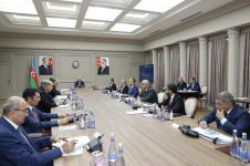 Состоялось заседание Экономического совета и Наблюдательного совета Азербайджанского инвестиционного холдинга (ФОТО)