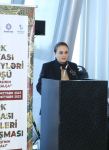 "Ковер – символ тюркского мира" – международная конференция в Баку (ФОТО)