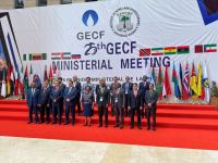 Заместитель министра энергетики Азербайджана обсудил роль природного газа на встрече ФСЭГ (ФОТО)
