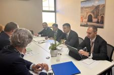 Азербайджан и Швейцария обсудили перспективы сотрудничества между ЦБ