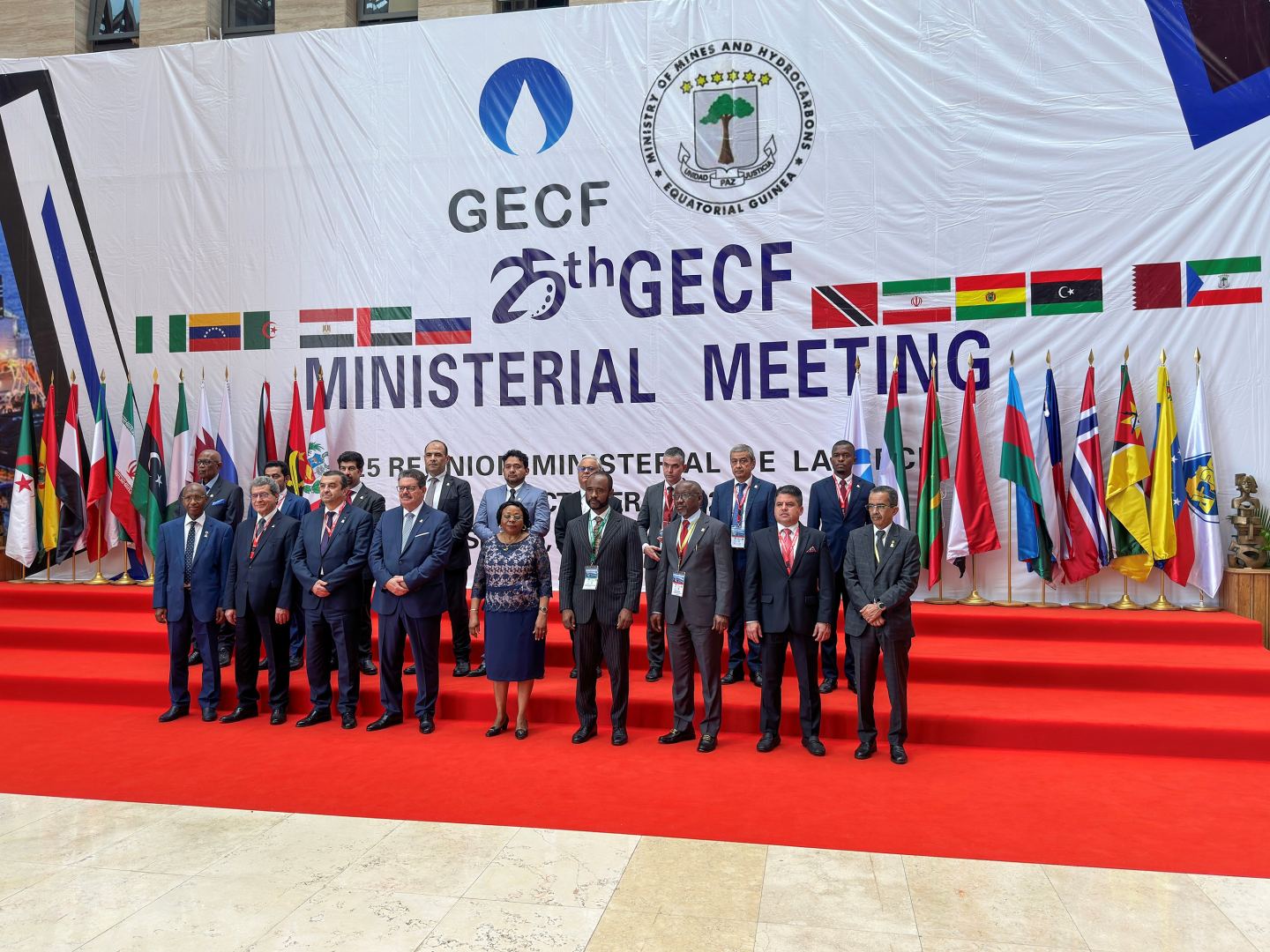 Заместитель министра энергетики Азербайджана обсудил роль природного газа на встрече ФСЭГ (ФОТО)