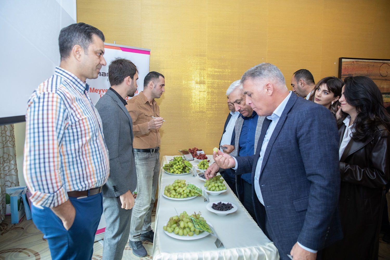 В Азербайджане состоялась выставка столовых сортов винограда международной селекционной компании (ФОТО)