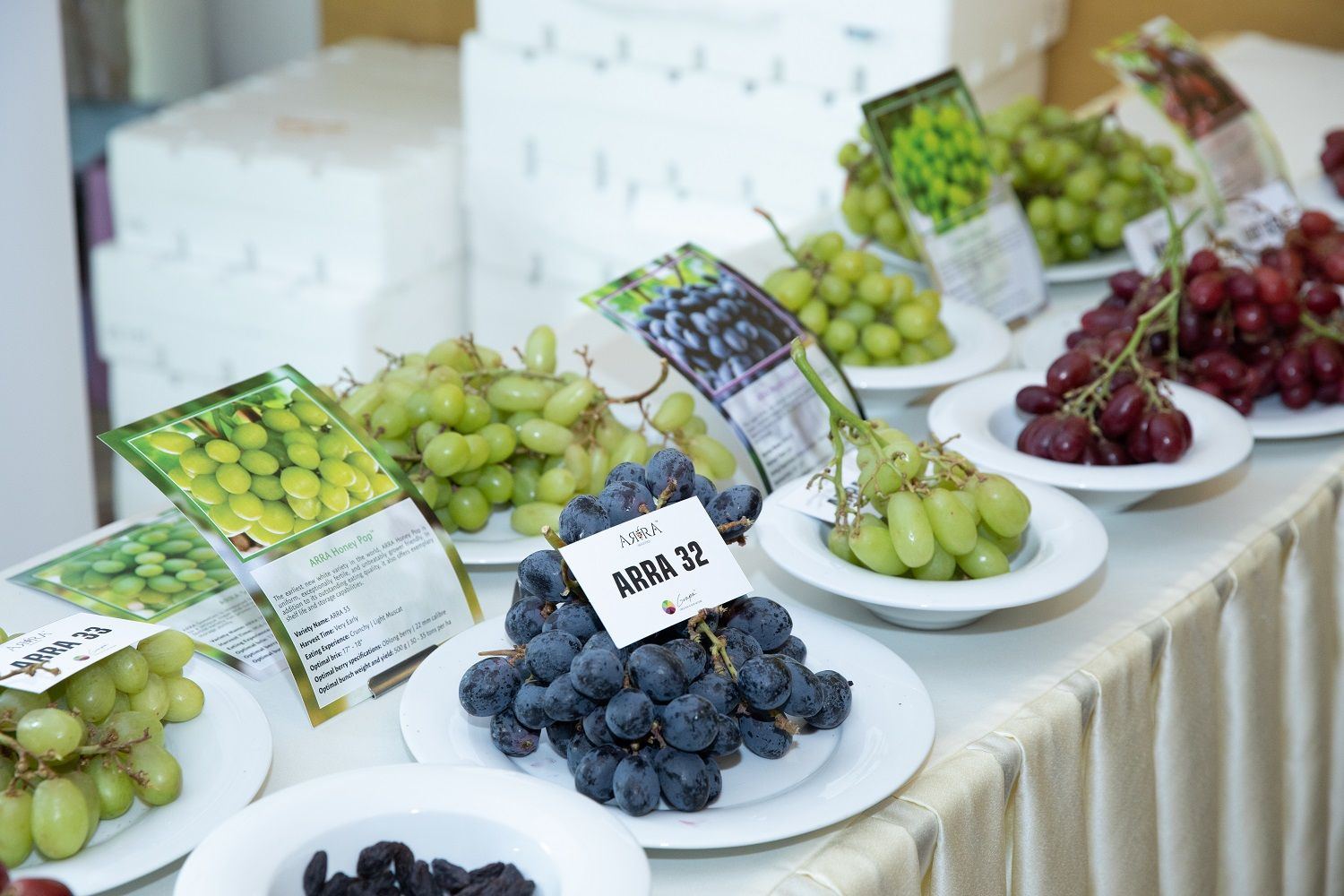 Azerbaijan hosts expo of global breeding company table grape varieties (PHOTO)