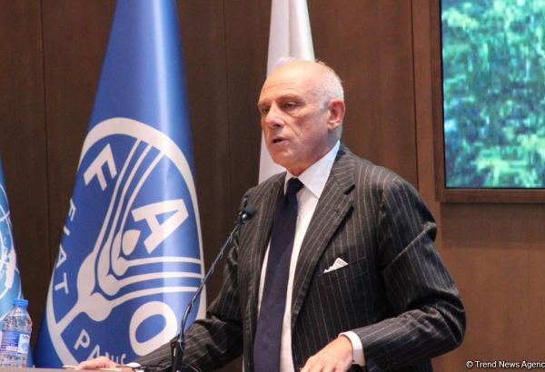 Италия может внести вклад в привнесение новых технологий в Азербайджан - посол Италии