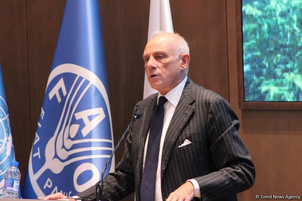 Италия может внести вклад в привнесение новых технологий в Азербайджан - посол Италии