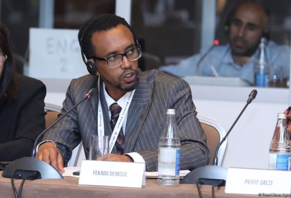 France maintains double standards in realm of human rights - Ethiopian representative