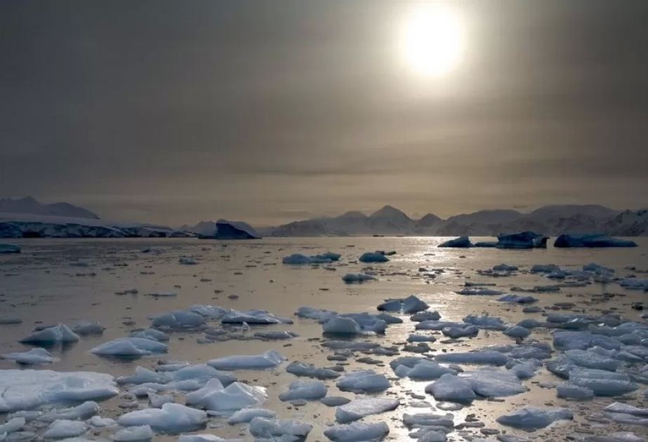 Yaxın onilliklərdə Qərbi Antarktidada buzlaqlar daha çox əriyəcək