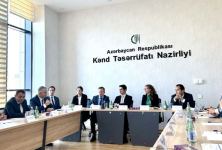 Azerbaijan's Agriculture Ministry discusses co-op with Turkish THY Air Cargo Transport (ФОТО)