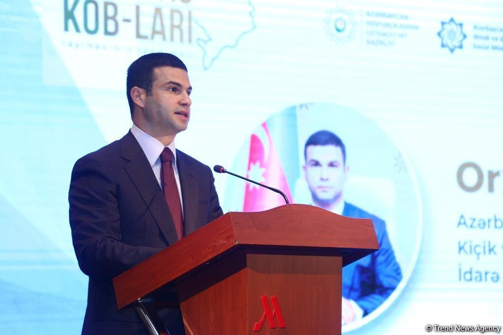 За последние 5 лет в Азербайджане 1 миллион человек получили услуги по трудоустройству - Сахиль Бабаев (ФОТО)