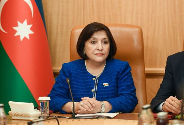Важны совместные шаги против предвзятых кампаний в отношении Азербайджана и Турции - Сахиба Гафарова