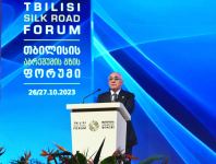 Азербайджан и Грузия вносят важный вклад в энергетическую безопасность Европы - Али Асадов (ФОТО)