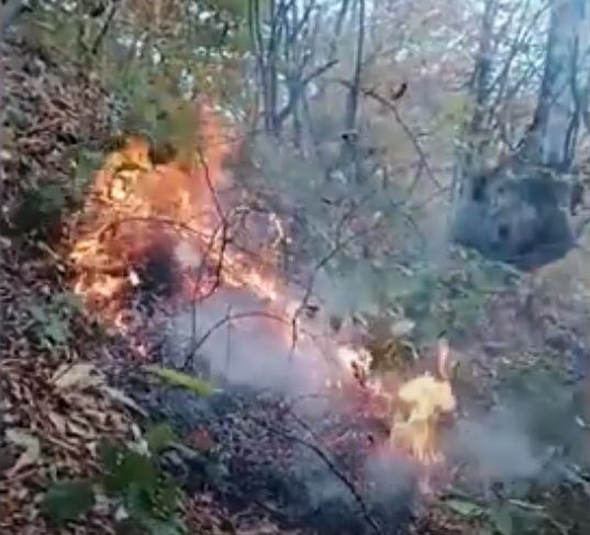 В национальном парке "Шахдаг" произошел пожар (ВИДЕО)