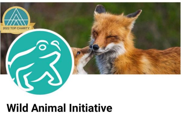 Намерение помочь животным, страдающим от мин, достойно похвалы - Wild Animal Initiative