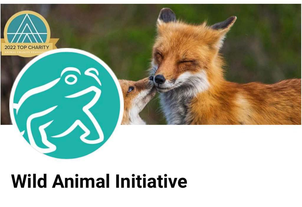 Намерение помочь животным, страдающим от мин, достойно похвалы - Wild Animal Initiative