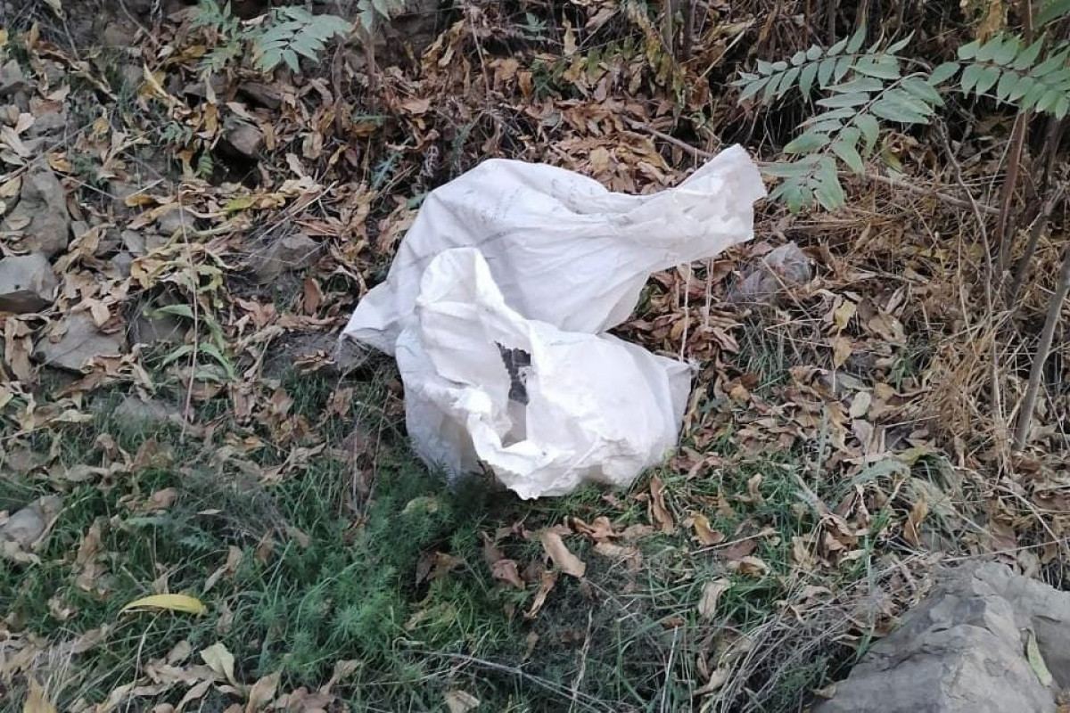 Вблизи села Худаферин Джебраильского района обнаружены спрятанные наркотики (ФОТО)