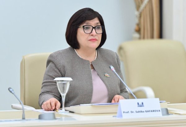Sahibə Qafarova ATƏT Parlament Assambleyasının prezidenti ilə görüşüb (FOTO)