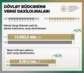 Azerbaijan reveals growth in tax revenues from non-oil sector (PHOTO)