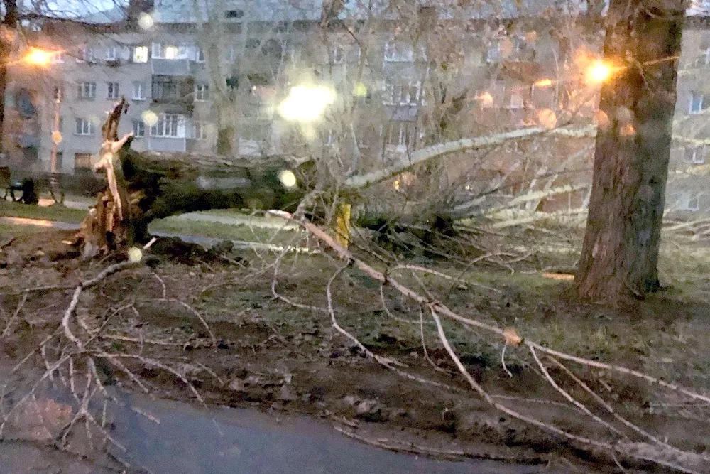 Более ста населенных пунктов в Красноярском крае России остались без света из-за урагана