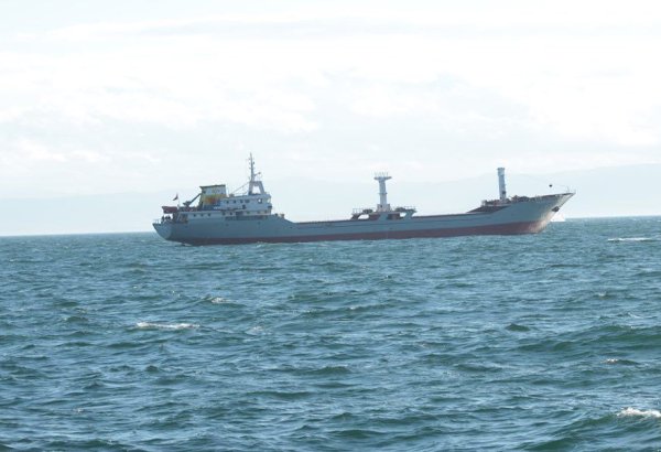 Turkish cargo ship sinks in Black Sea