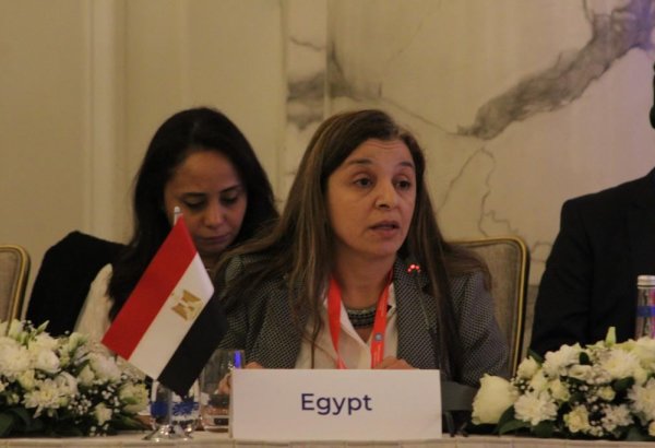 Женщины играют важную роль в совершенствовании института семьи - представитель Египта