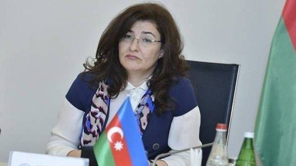 Azerbaijan dismisses deputy minister of economy following presidential decree