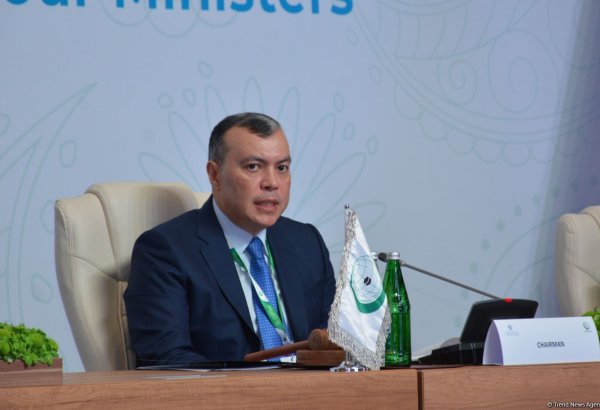 OIC member countries loom youth unemployment issues - Azerbaijani minister