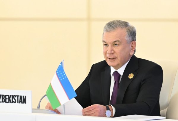 Президент Узбекистана призвал к созданию Международного экспо-хаба климатических технологий