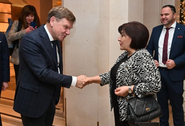 Сахиба Гафарова встретилась с руководителем парламентской группы Бундестага "Германия-Южный Кавказ" (ФОТО)