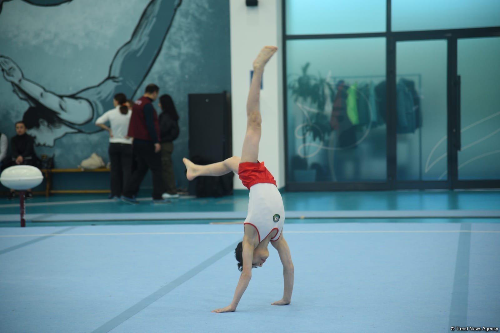 Проходят соревнования чемпионата Азербайджана и первенства Баку по мужской и женской спортивной гимнастике (ФОТО)