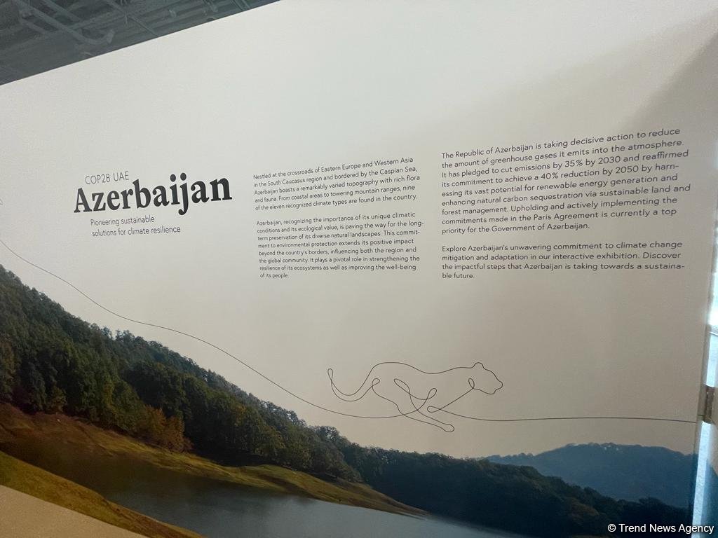 A look at Azerbaijan's pavilion at COP28 UAE (PHOTO)