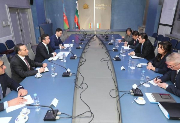 Состоялось четвертое заседание в рамках политконсультаций между МИД Азербайджана и Болгарии (ФОТО)