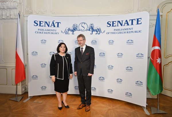 Сахиба Гафарова проинформировала председателя Сената парламента Чехии о ситуации в регионе (ФОТО)