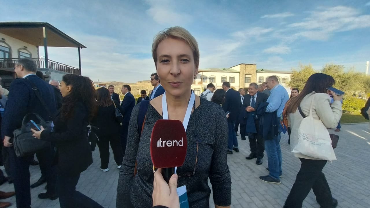 Важно знакомить другие страны с восстановительными работами на освобожденных землях Азербайджана - Екатерина Метревели