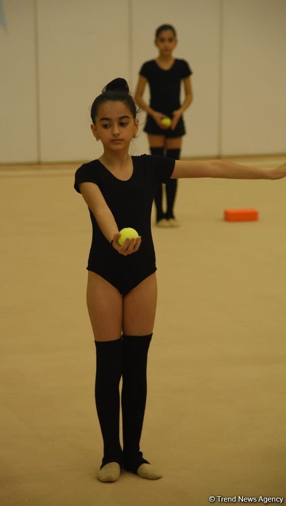 Юные гимнастки из Кюрдамира и Ширвана участвуют в учебно-тренировочных сборах в Национальной арене гимнастики в Баку (ФОТО)