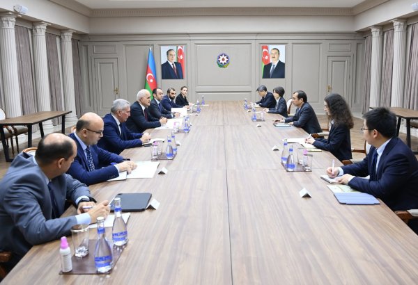 Azerbaijan's deputy PM meets president of China Energy International Group Co. Ltd