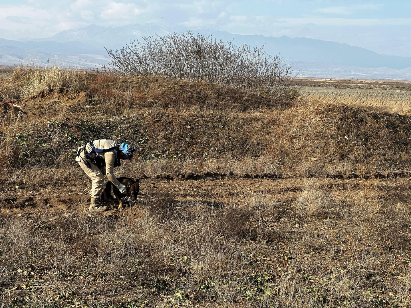 Azerbaijani women's team debuts in rats and dogs-sidekicked mine action drills (PHOTO)