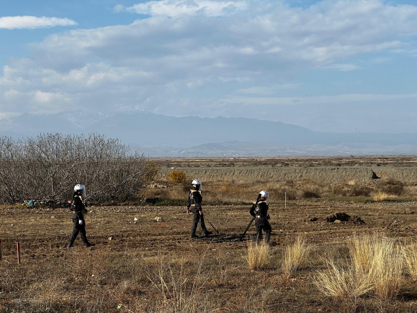 Azerbaijani women's team debuts in rats and dogs-sidekicked mine action drills (PHOTO)