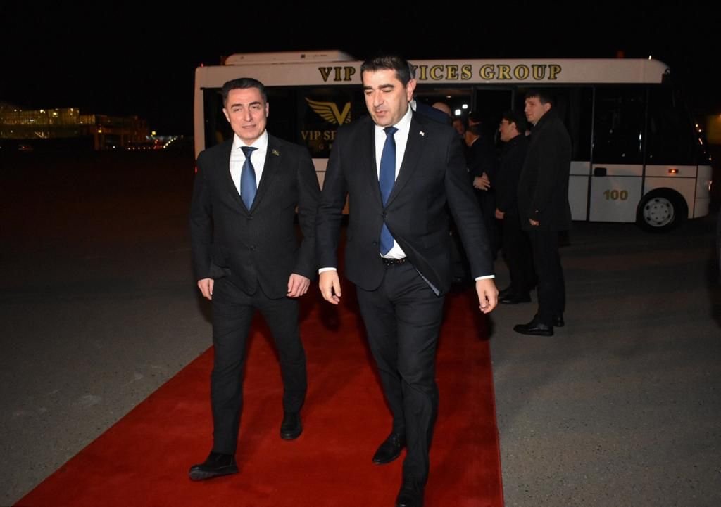 Председатель парламента Грузии прибыл в Азербайджан (ФОТО)