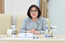Сахиба Гафарова провела обмен мнениями с грузинским коллегой (ФОТО)
