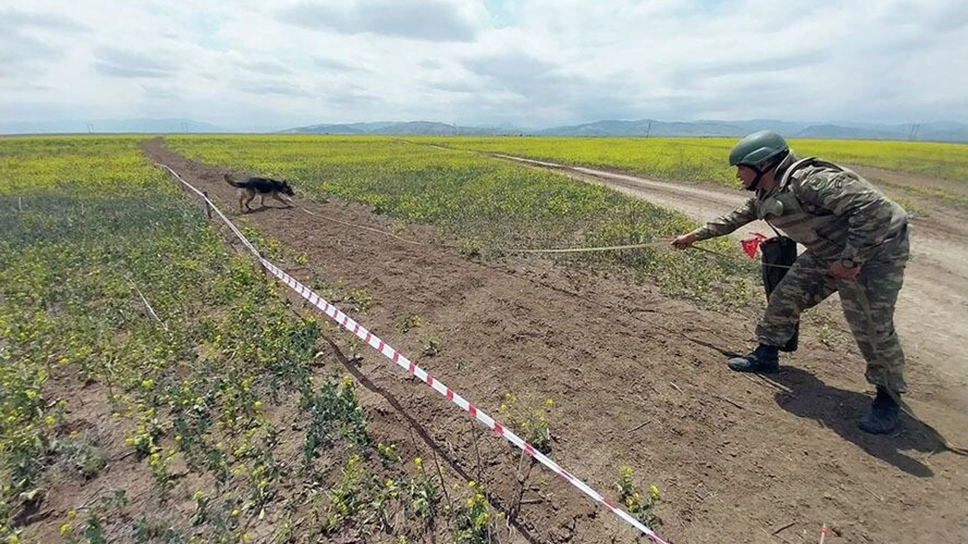 На освобожденных территориях Азербайджана обнаружена еще 171 мина